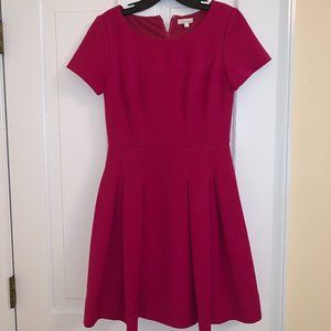 Magenta Dress
